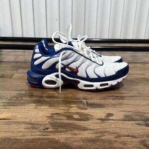 Nike air max plus  Blue and White Sneakers